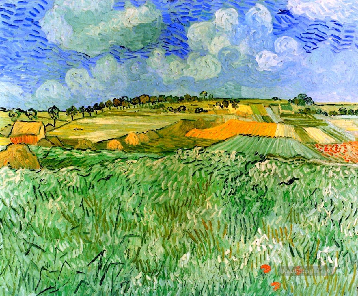 Ebene bei Auvers Vincent van Gogh Szenerie Ölgemälde